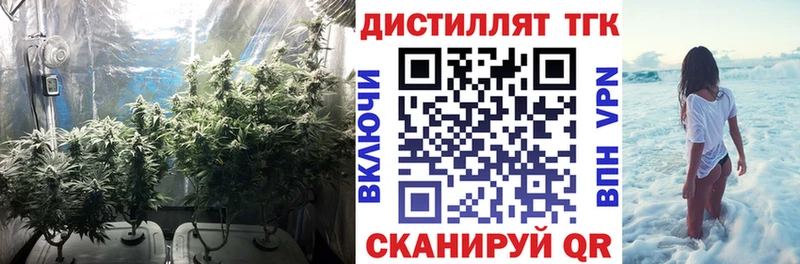 Дистиллят ТГК THC oil  KRAKEN зеркало  Шимановск 