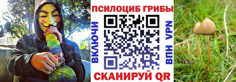 Галлюциногенные грибы прущие грибы  где продают   Шимановск 